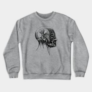 Facial Muscle Diagram - Vintage Anatomy Crewneck Sweatshirt